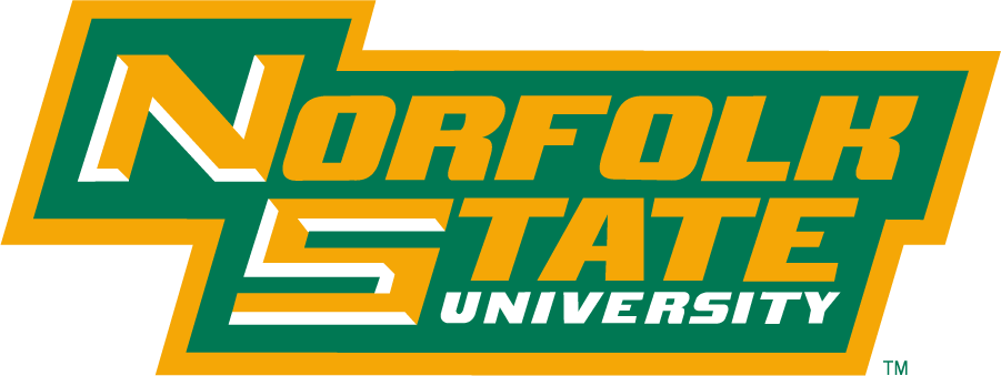 Norfolk State Spartans 1999-Pres Wordmark Logo v3 diy DTF decal sticker